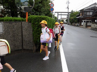 IMGP3967