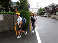 IMGP3971