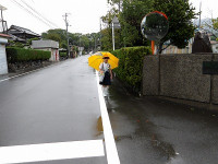 IMGP4029