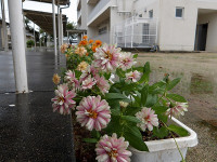 IMGP4050