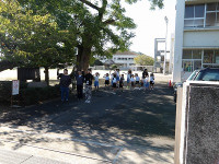 IMGP4136