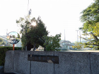 IMGP4081