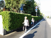 IMGP4094