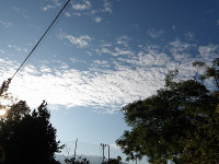 IMGP4273