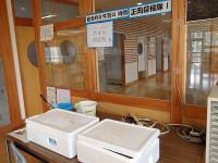IMGP4305