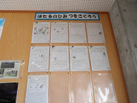 IMGP4307