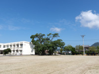 IMGP4324