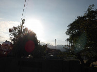 IMGP4363