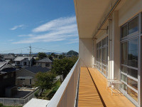 IMGP4482