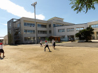 IMGP4494